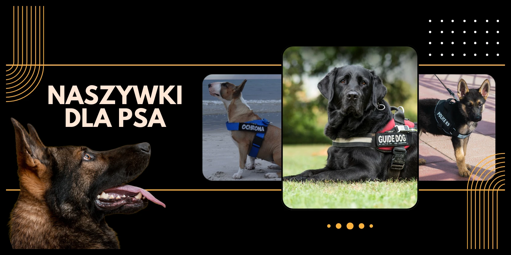 Naszywki / emblematy na szelki dla psa