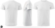 Zestaw 3 sztuk męskich koszulek bawełnianych T-shirt - białych
