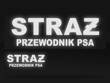 STRAŻ PRZEWODNIK PSA zestaw naszywek odblaskowych